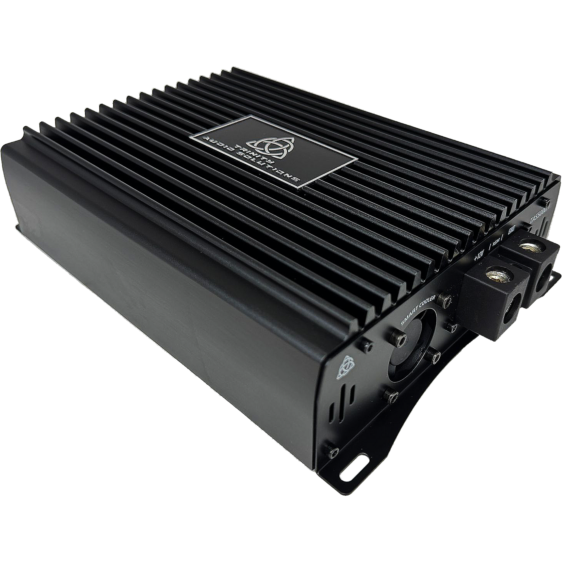Trinity TAS-5000.1 5,000 Watt Full Bridge Monoblock Amplifier