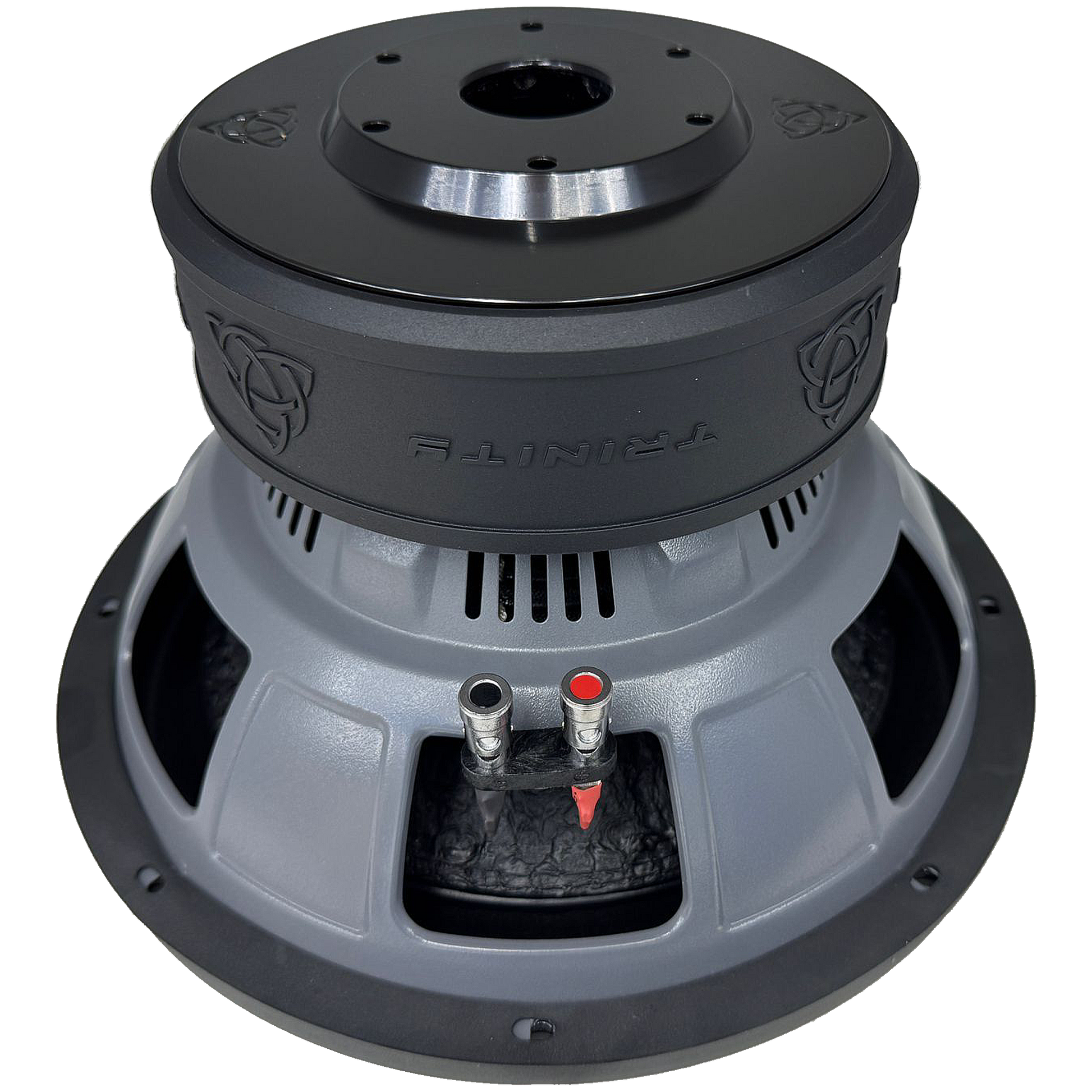 Trinity E Series 12" Subwoofer 800 Watts RMS