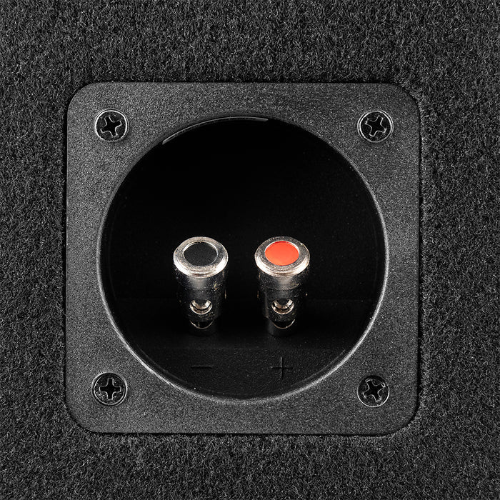 DS18 GEN-X110LD Bass Package GEN-X104D 10" Subwoofer In a Ported Box 800 Watts