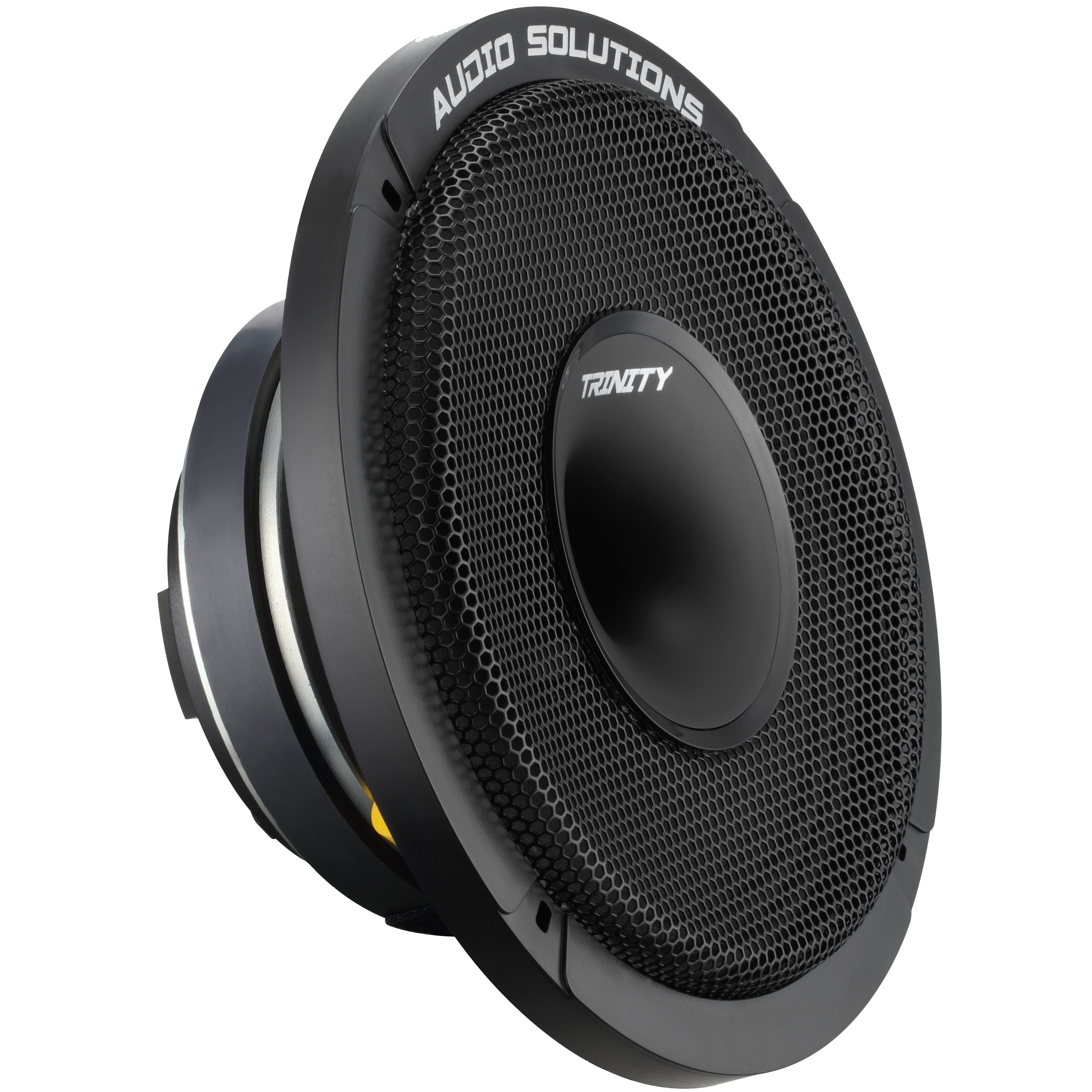 Trinity Audio CS84 Horn Driven 8" Pro Audio Coaxial Loudspeaker (single)