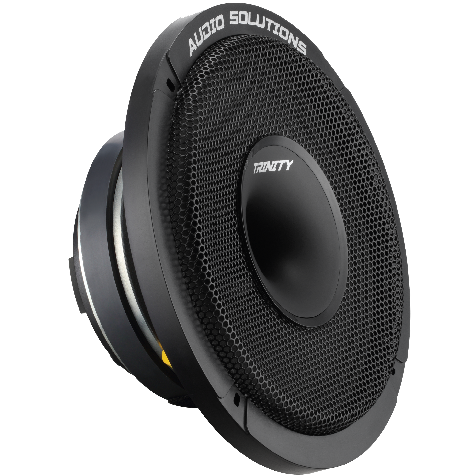 Trinity Audio CS84 Horn Driven 8" Pro Audio Coaxial Loudspeaker (single)