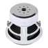 Audio Ace Audio Ace Jester Series 12" Subwoofer Dual 2 Ohm - Car Audio